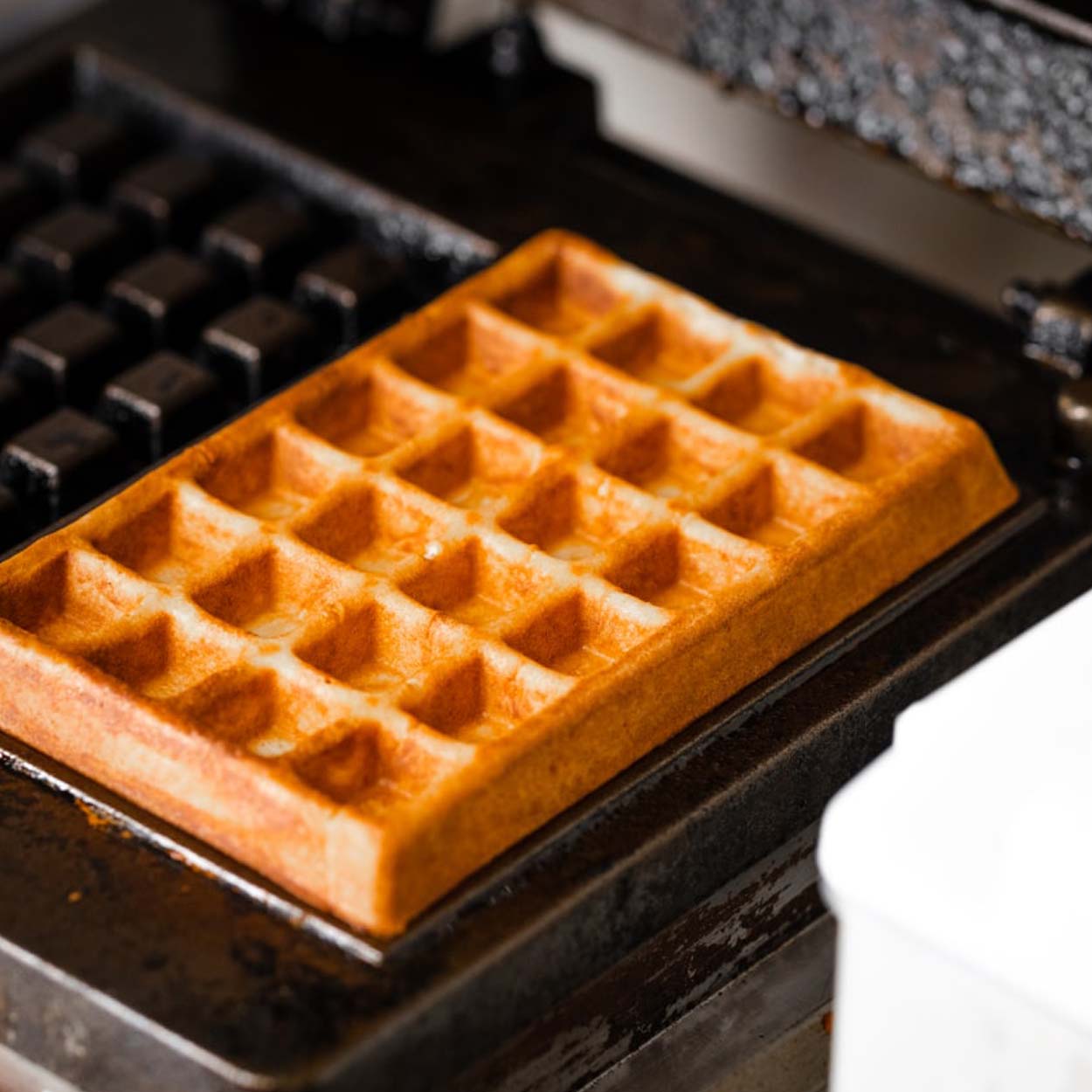 Marshmallow Waffle